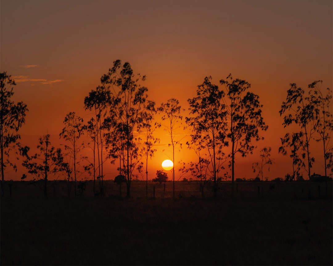 Atardecer en los llanos del Oriente colombiano